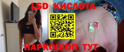 винт Партизанск