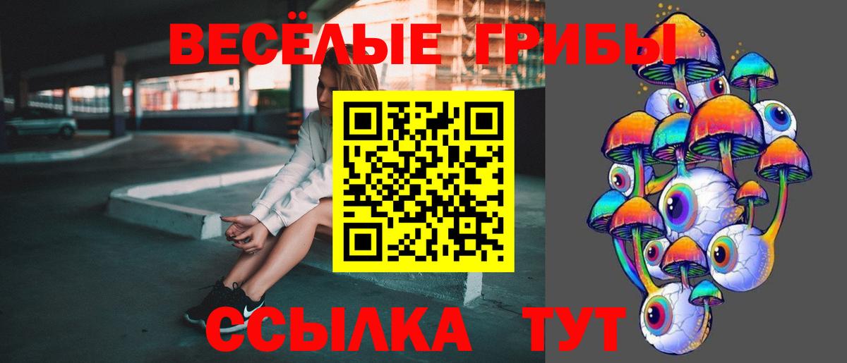 Галлюциногенные грибы Psilocybine cubensis Тихорецк